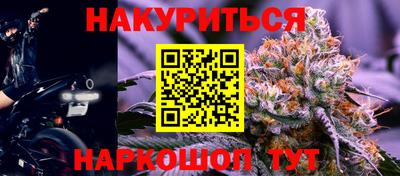 Альфа ПВП Можга