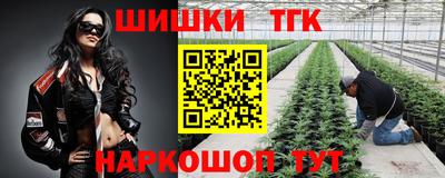 Альфа ПВП Можга