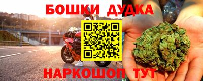 Альфа ПВП Можга