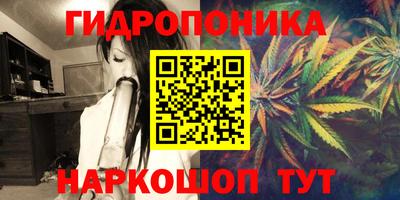 Альфа ПВП Можга