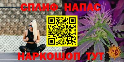 Альфа ПВП Можга