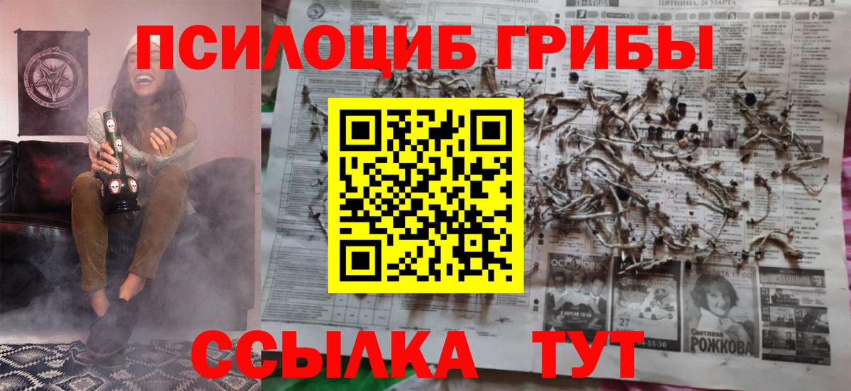 закладка  Галлюциногенные грибы Psilocybine cubensis  Вход с VPN  Дмитров  Псилоцибиновые грибы Magic Shrooms 