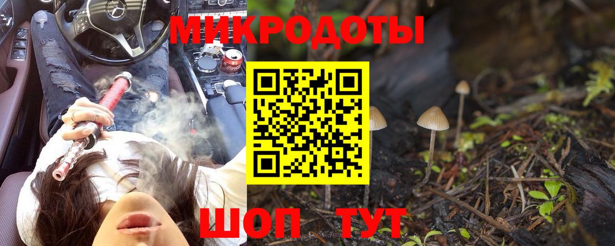 Псилоцибиновые грибы Psilocybe Дмитров